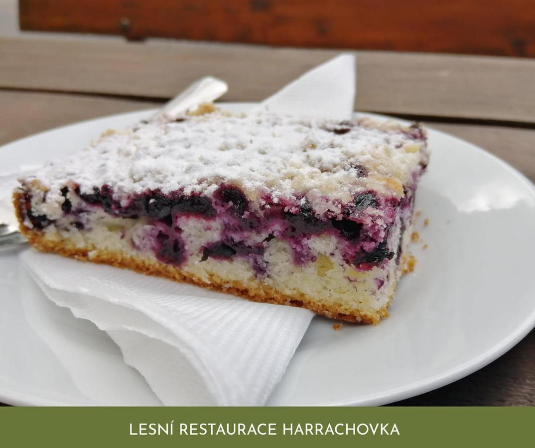 Lesni Restaurace Harrachovka Hotel Tabor Bagian luar foto